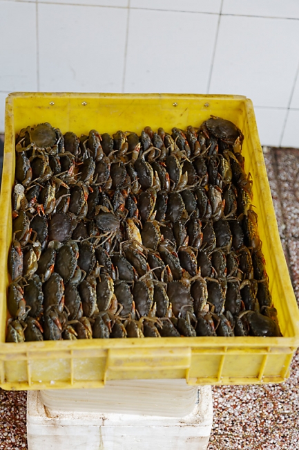 Ho Chi Minh ville-027